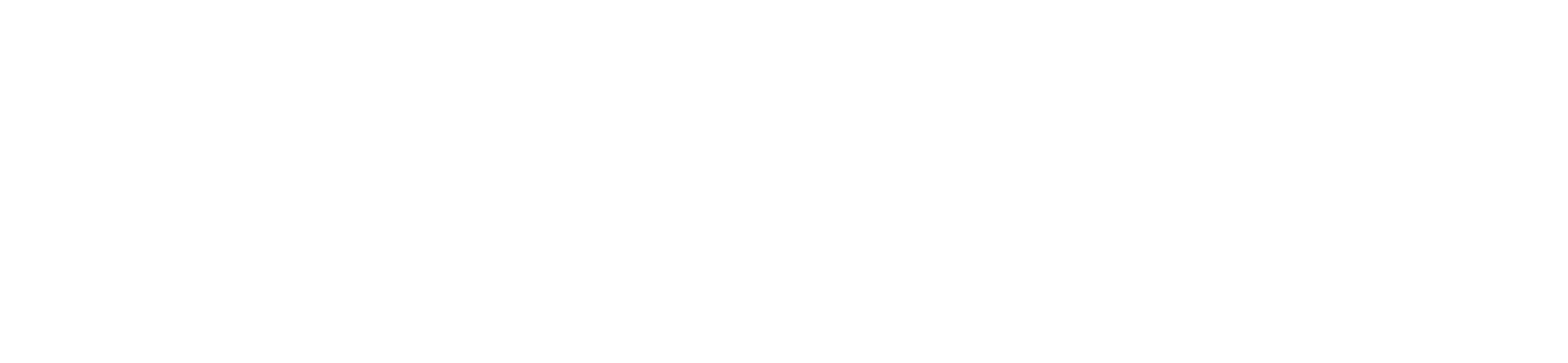 SAFİC ALCAN KİMYA SANAYİ VE TİCARET A.Ş.