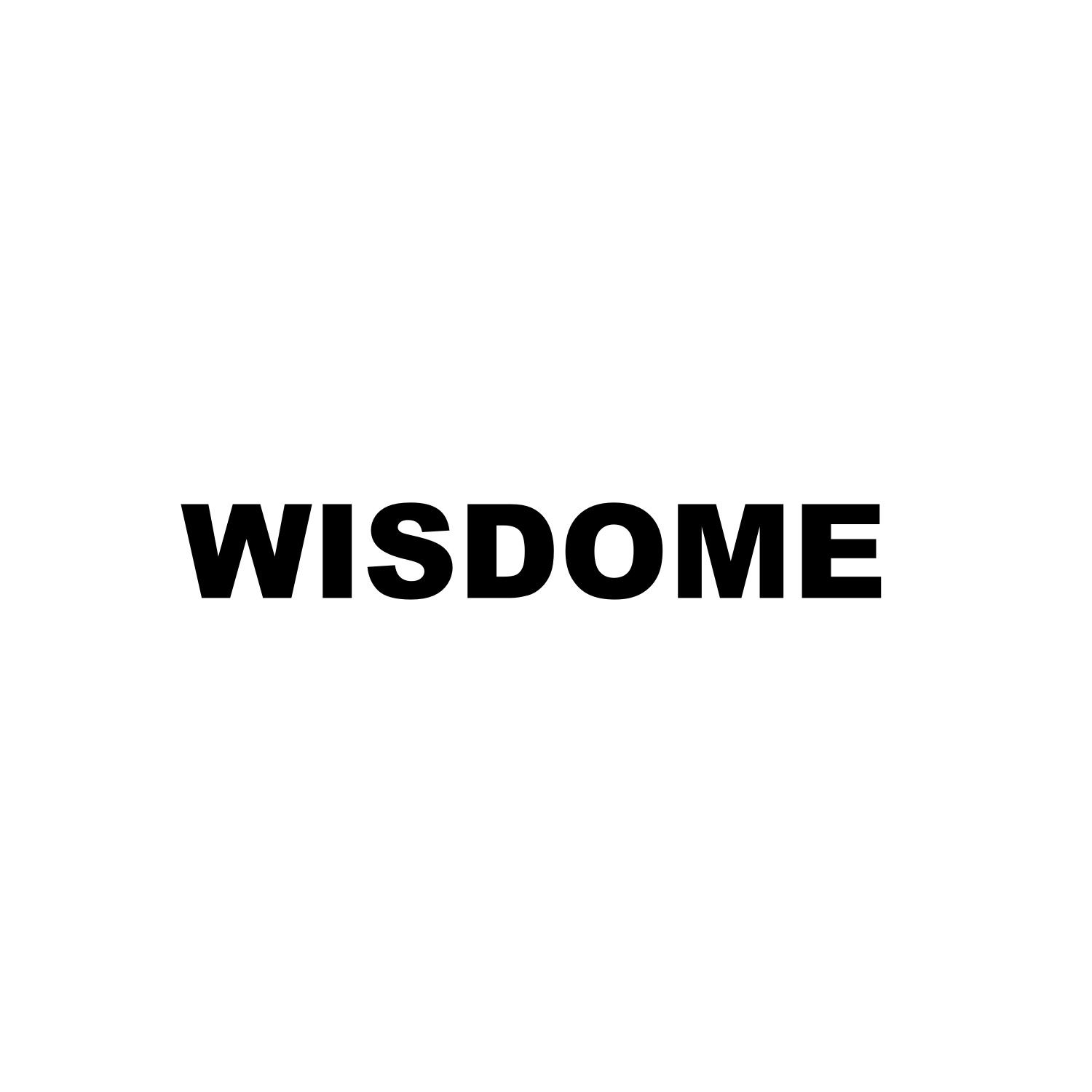 JIANGYIN WISDOME TECHNOLOGY CO., LTD.